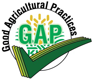 gap-logo